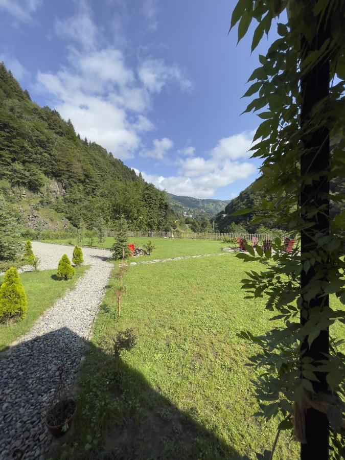 Dream River Exclusive Bungalow Rize Exteriér fotografie