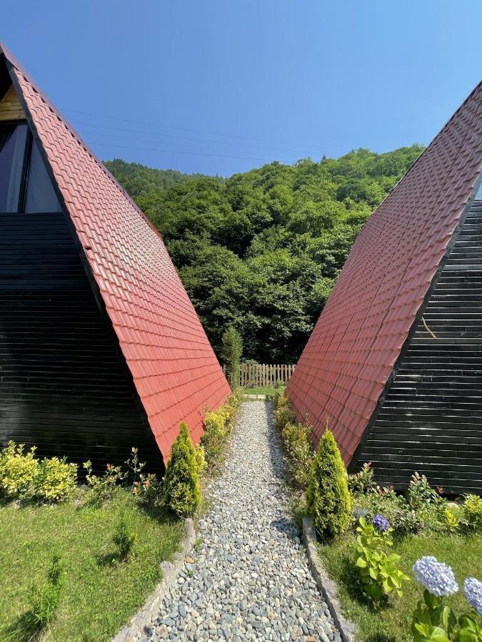 Dream River Exclusive Bungalow Rize Exteriér fotografie