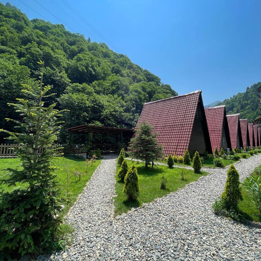 Dream River Exclusive Bungalow Rize Exteriér fotografie