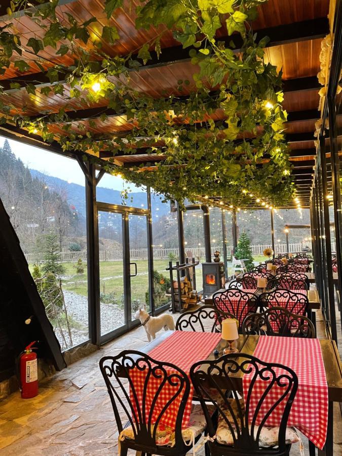 Dream River Exclusive Bungalow Rize Exteriér fotografie