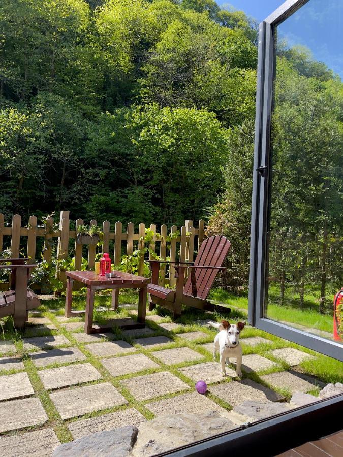 Dream River Exclusive Bungalow Rize Exteriér fotografie
