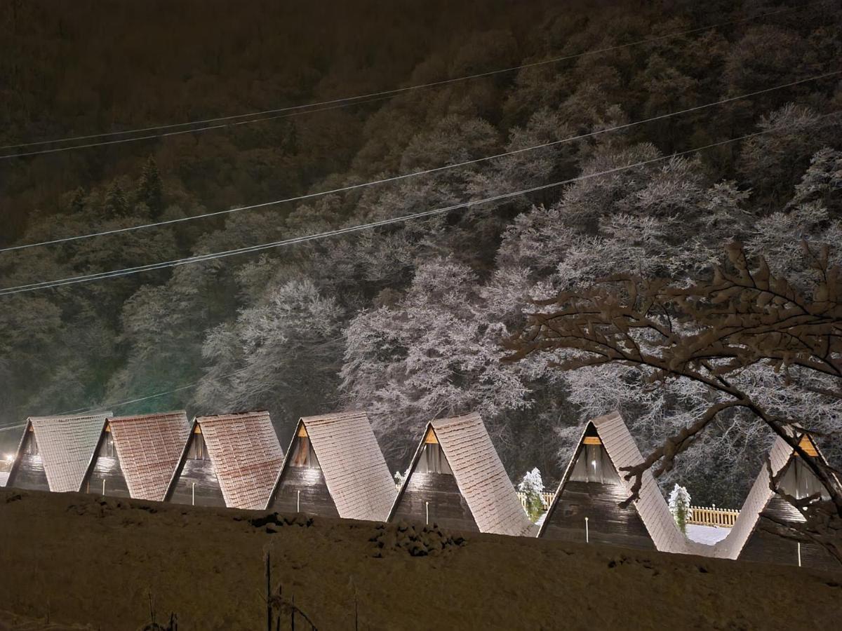 Dream River Exclusive Bungalow Rize Exteriér fotografie