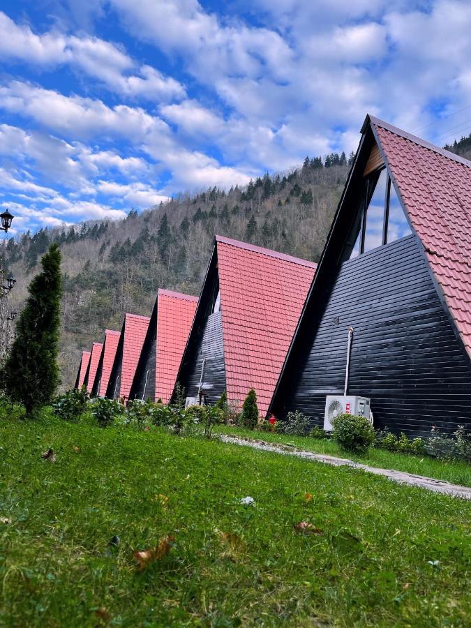 Dream River Exclusive Bungalow Rize Exteriér fotografie