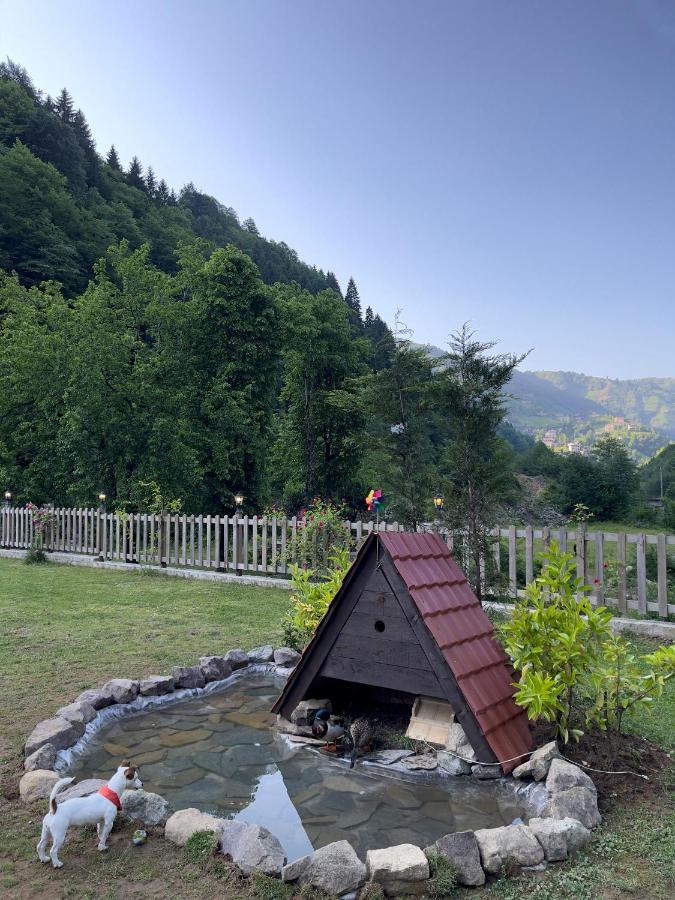 Dream River Exclusive Bungalow Rize Exteriér fotografie