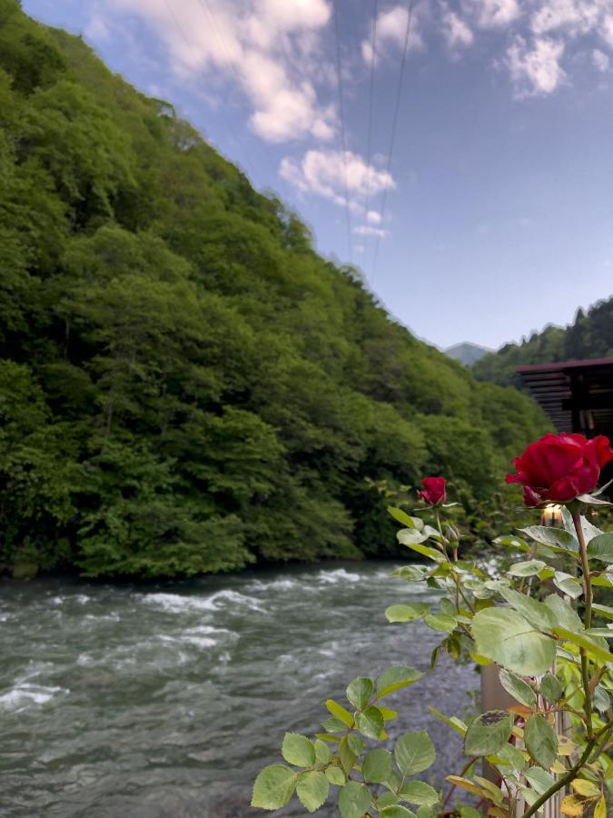 Dream River Exclusive Bungalow Rize Exteriér fotografie